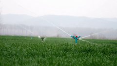 <b>智精准节制着蔬果的温湿度、水肥比例</b>