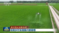 我国将推进宜居宜业和美乡